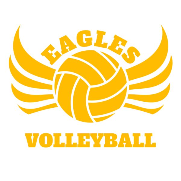 Volleyball 11 Vignette