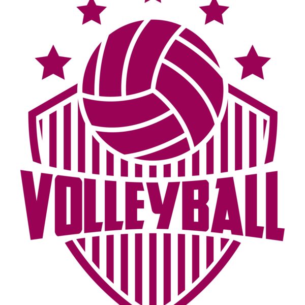 Volleyball 29 Vignette
