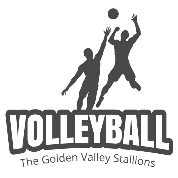 Volleyball 39 Vignette