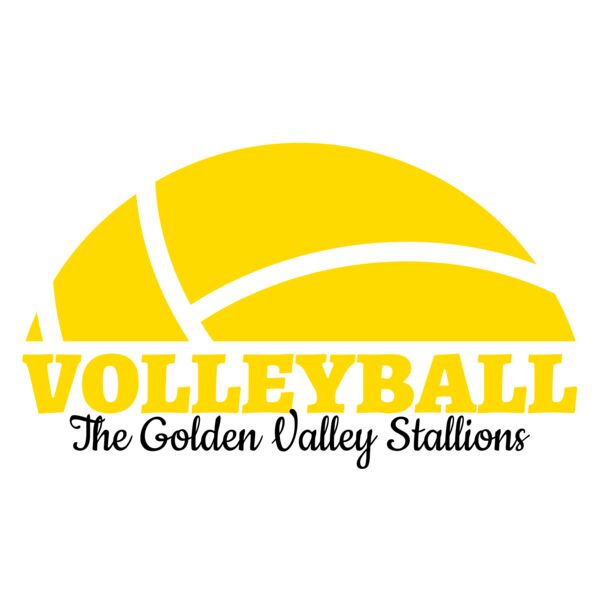 Volleyball 40 Vignette