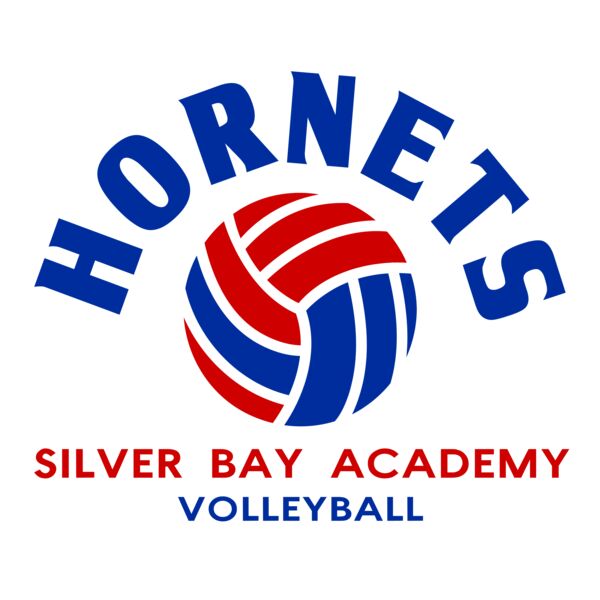 Volleyball 61 Vignette