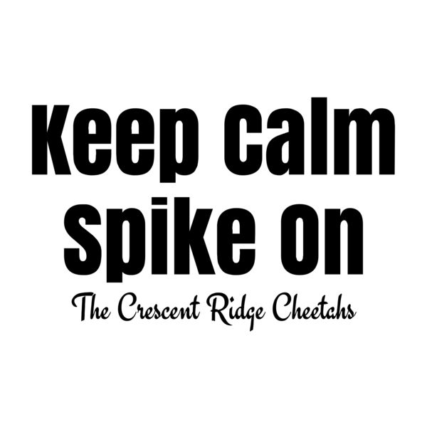 Volleyball 64 Vignette