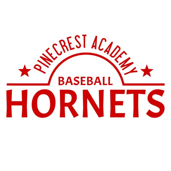 Baseball 012 Vignette