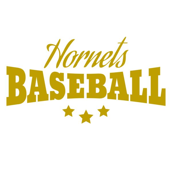 Baseball 017 Vignette