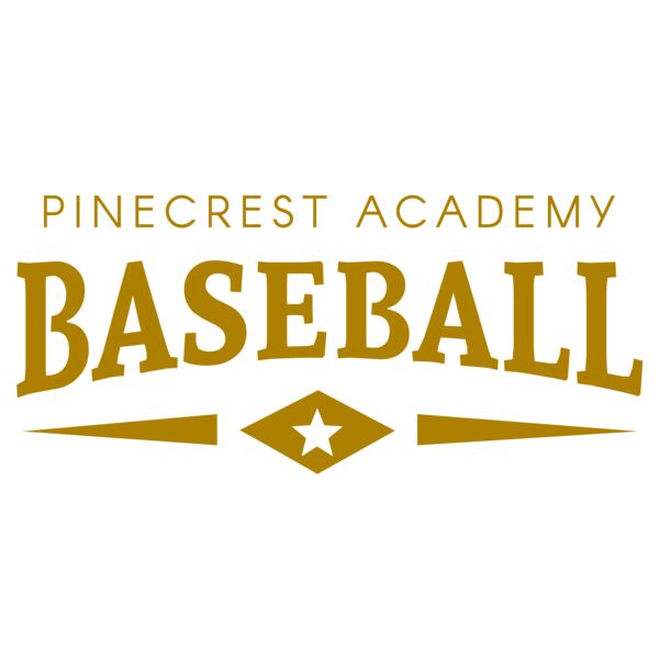 Baseball 020 Vignette