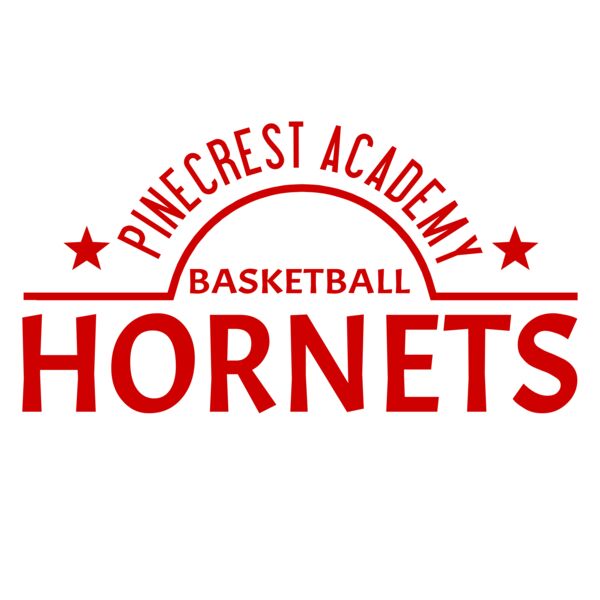 Basketball 012 Vignette