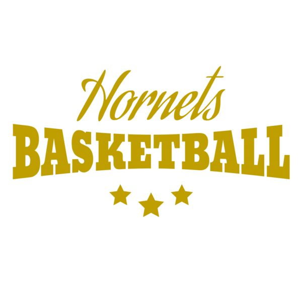 Basketball 017 Vignette