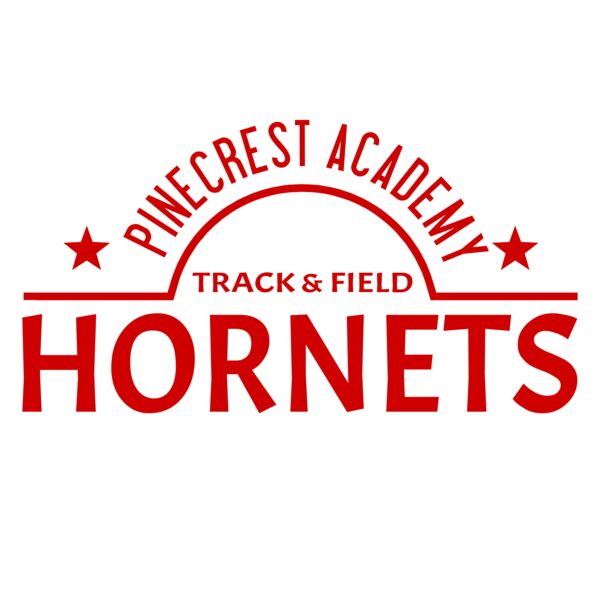 Track and Field 012 Vignette