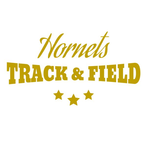 Track and Field 017 Vignette