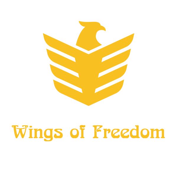 Air Force 08 Vignette