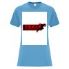 ATC™ EVERYDAY COTTON LADIES' TEE Vignette