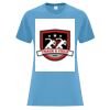 ATC™ EVERYDAY COTTON LADIES' TEE Vignette