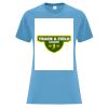 ATC™ EVERYDAY COTTON LADIES' TEE Vignette