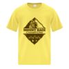 ATC™ EVERYDAY COTTON YOUTH TEE Vignette